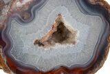Colorful Polished Thunderegg Half #376204-1